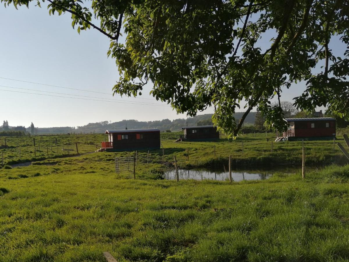 Monts De Flandre Insolite Camping *