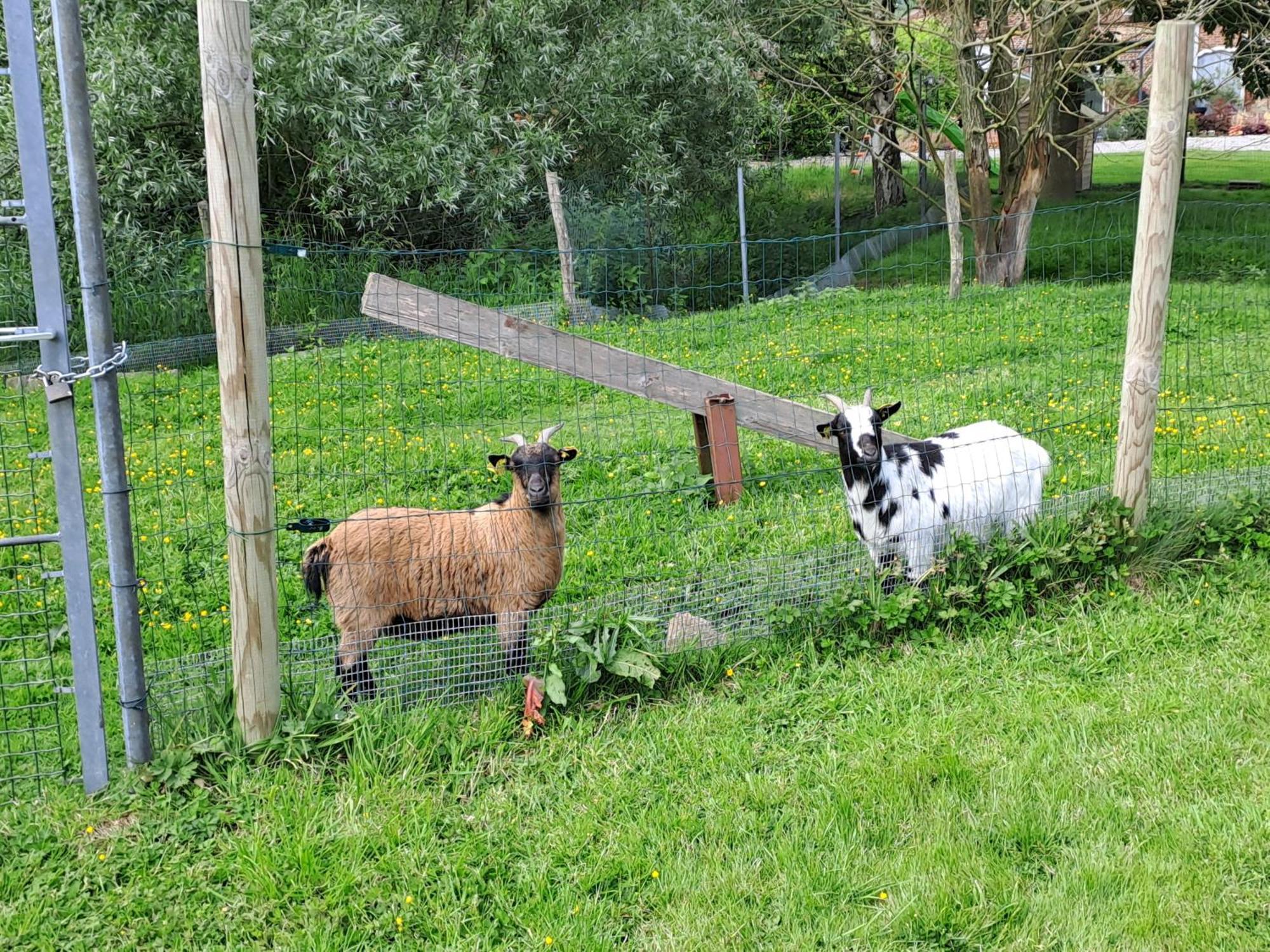 Monts De Flandre Insolite * Berthen